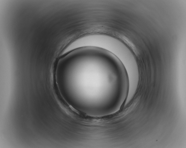 X0000115530493200911131508