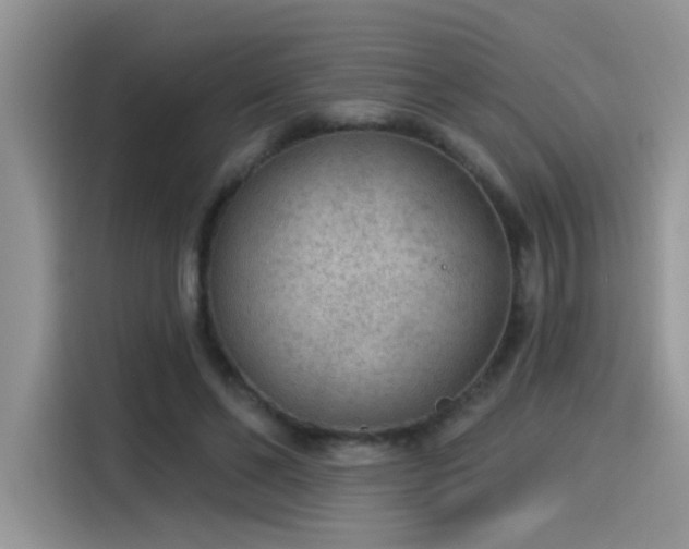 X0000115530494200911131508