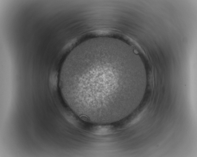 X0000115530495200911131508