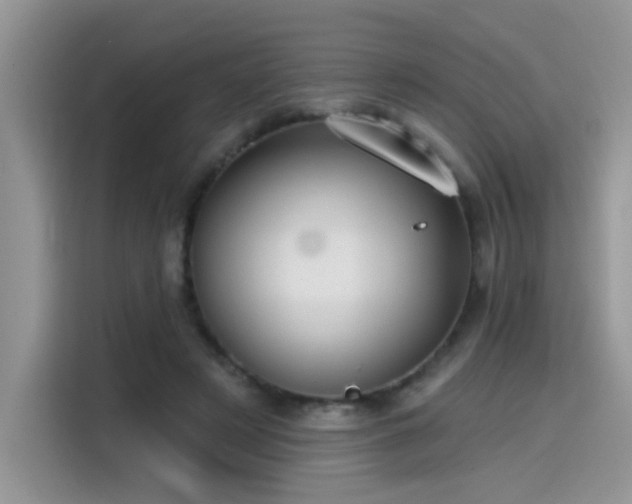 X0000115530497200911131508