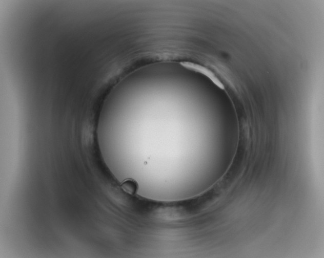 X0000115530499200911131508