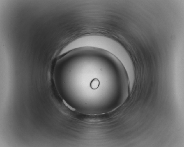 X0000115530500200911131508