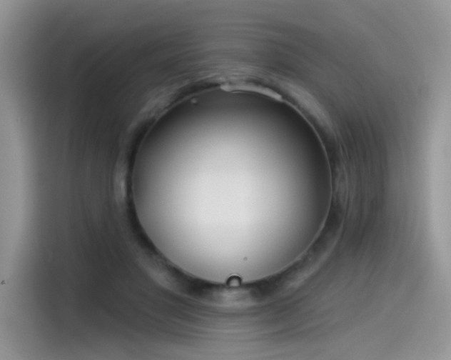 X0000115530501200911131508