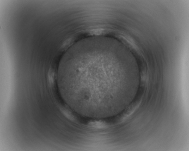 X0000115530503200911131508