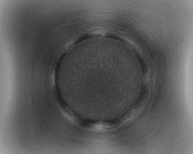 X0000115530504200911131508