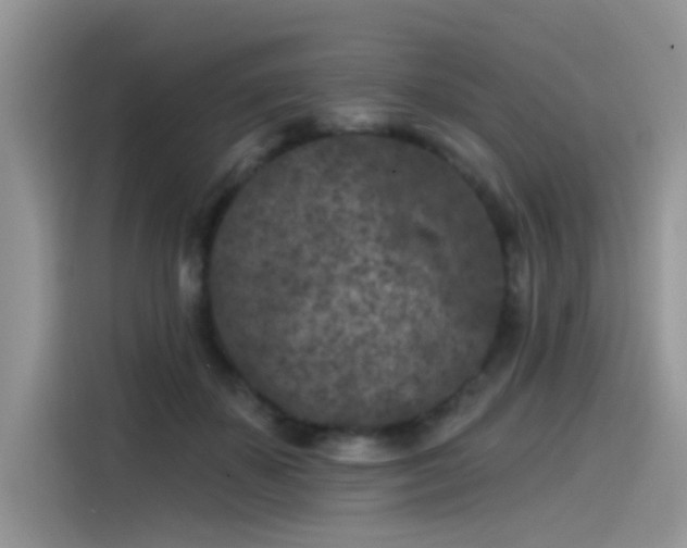 X0000115530507200911131508