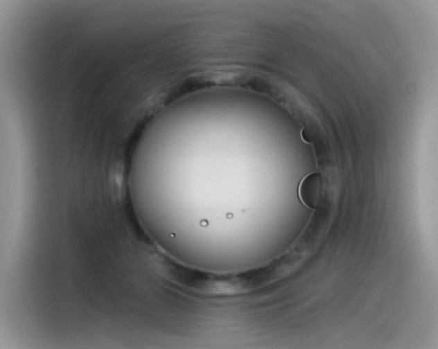 X0000115530510200911131508