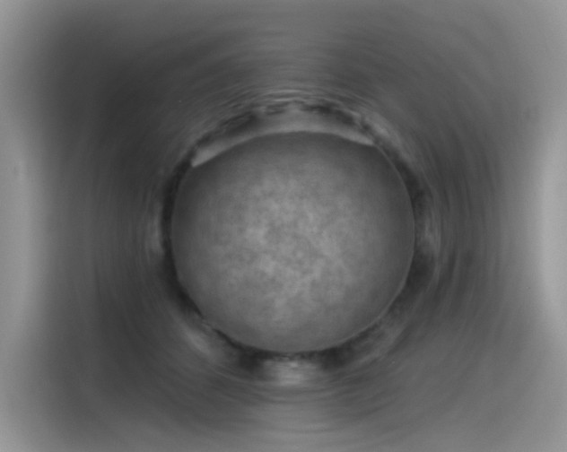 X0000115530512200911131508