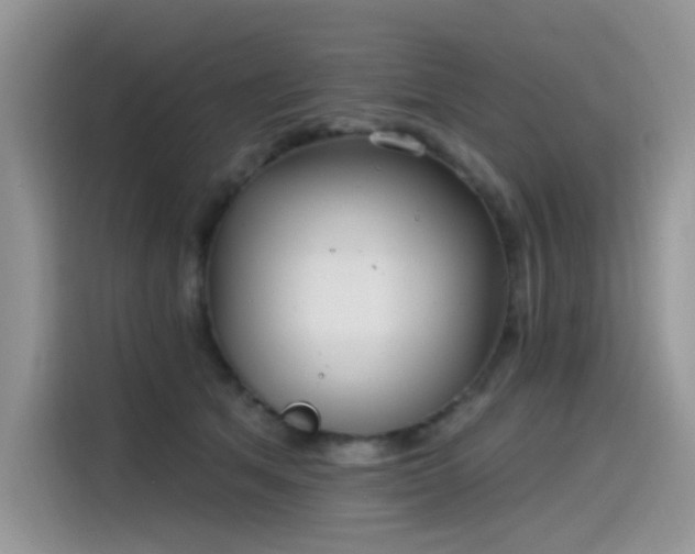 X0000115530513200911131508