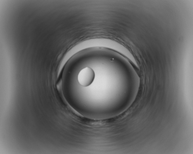 X0000115530516200911131508