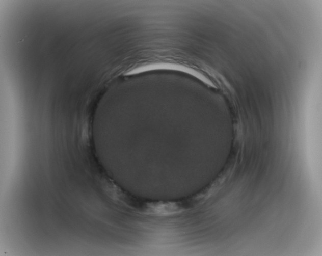 X0000115530517200911131508