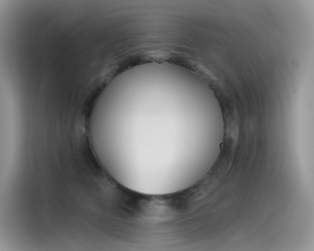 X0000115530518200911131508