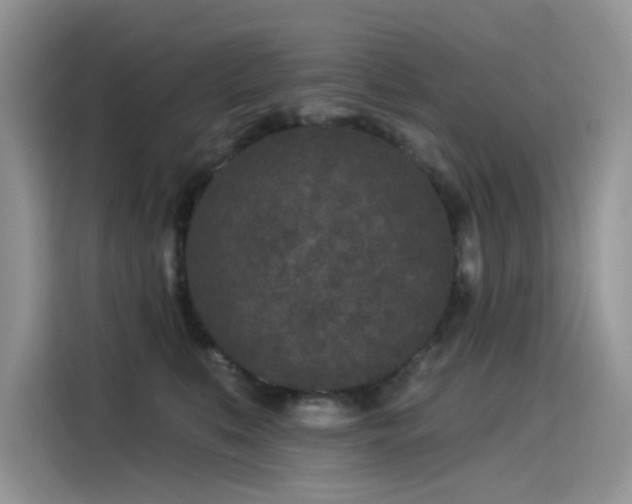 X0000115530519200911131508