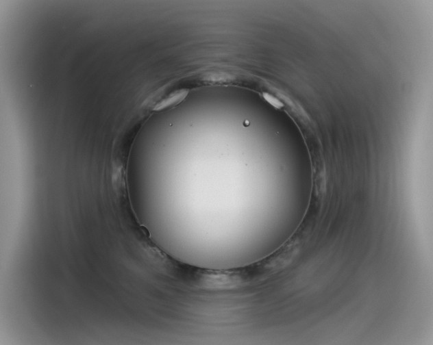 X0000115530521200911131508