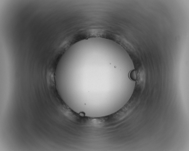 X0000115530522200911131508