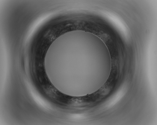 X0000115530526200911131508