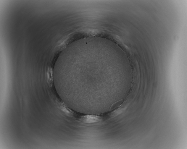 X0000115530528200911131508