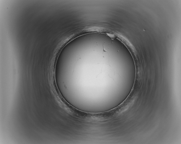 X0000115530529200911131507