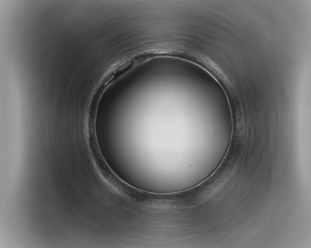 X0000115530530200911131507