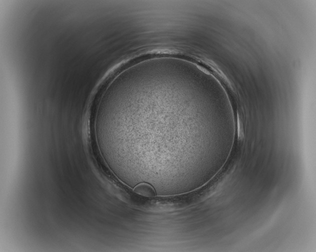 X0000115530531200911131507