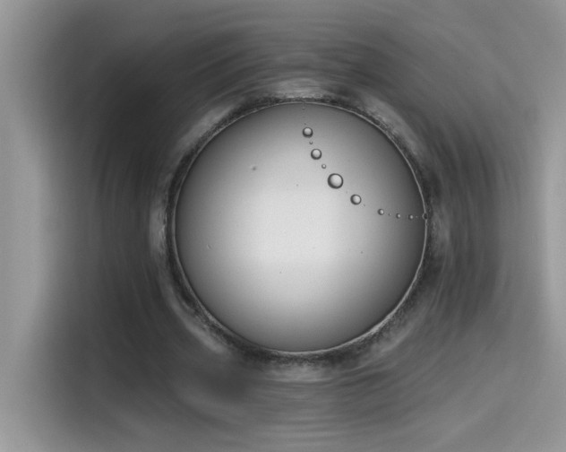 X0000115530533200911131507