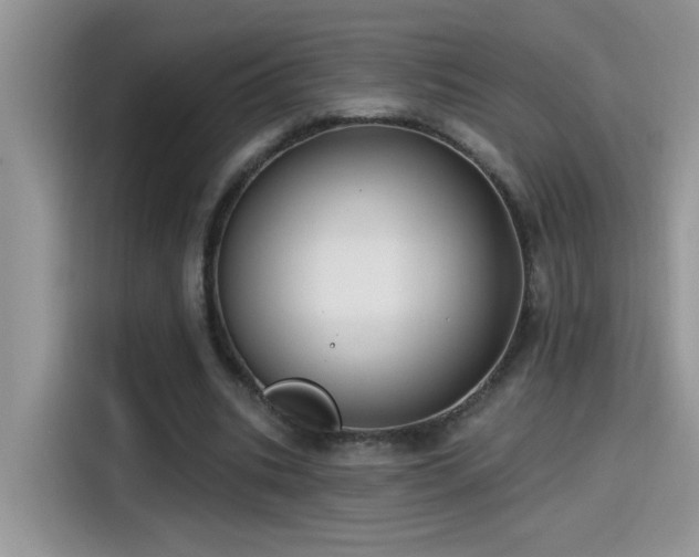 X0000115530535200911131507