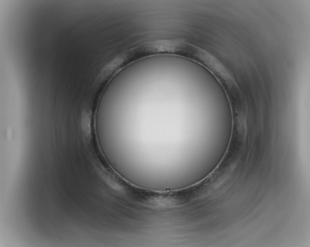 X0000115530537200911131507