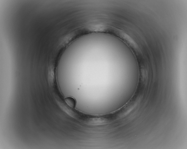 X0000115530541200911131507