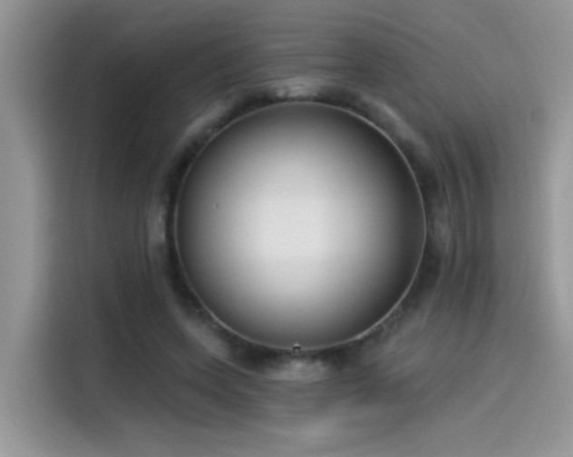 X0000115530543200911131507