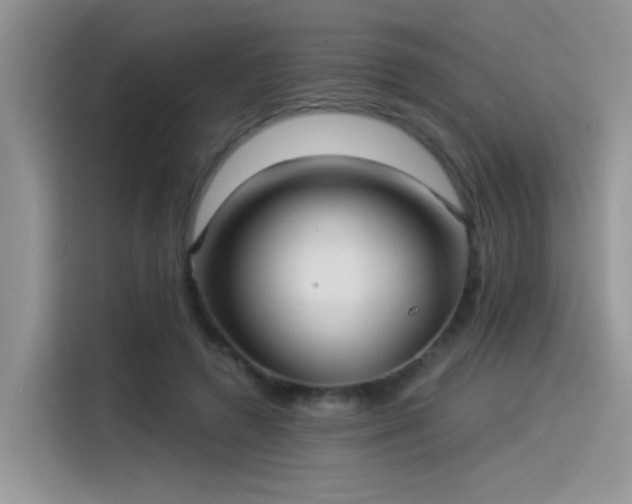 X0000115530546200911131507