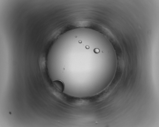 X0000115530549200911131507