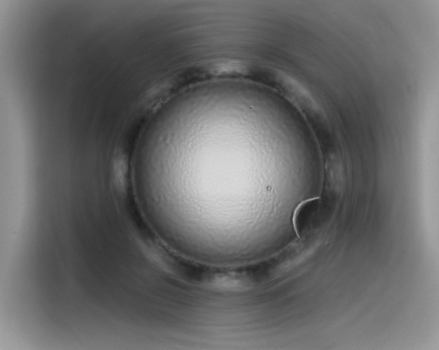 X0000115530550200911131507