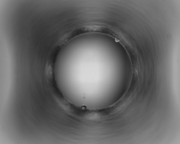 X0000115530551200911131507