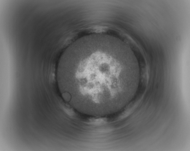 X0000115530553200911131507