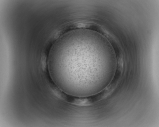 X0000115530554200911131507