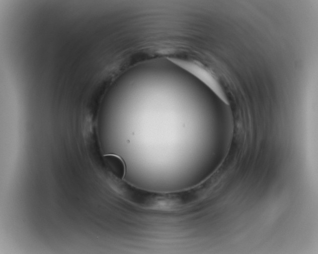 X0000115530555200911131507