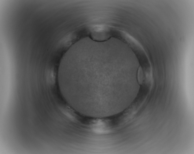 X0000115530558200911131507