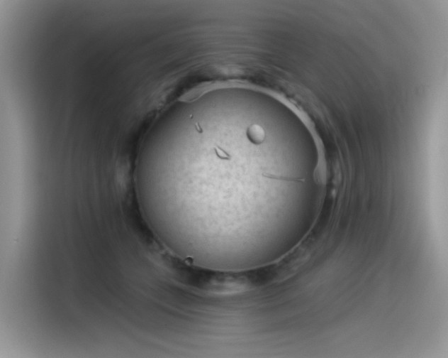 X0000115530559200911131507