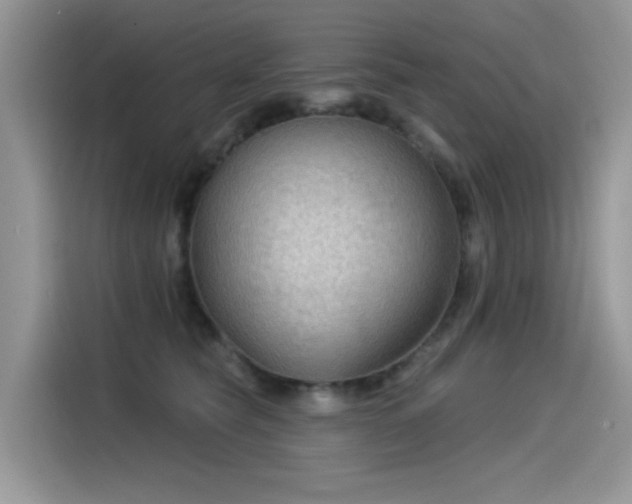 X0000115530565200911131508