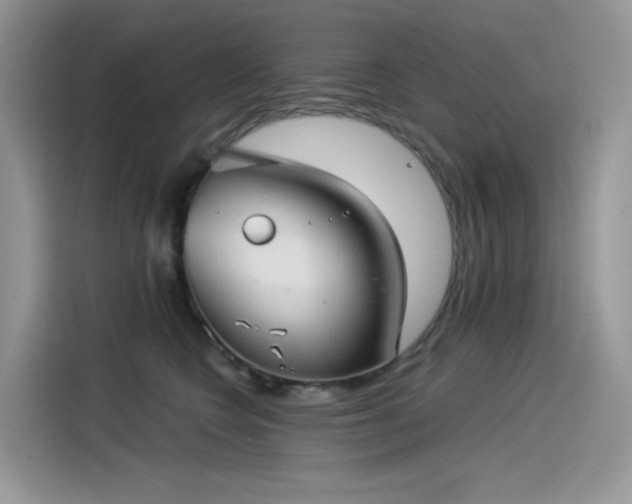 X0000115530566200911131508