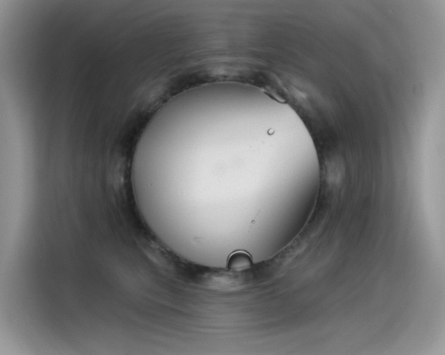 X0000115530567200911131508