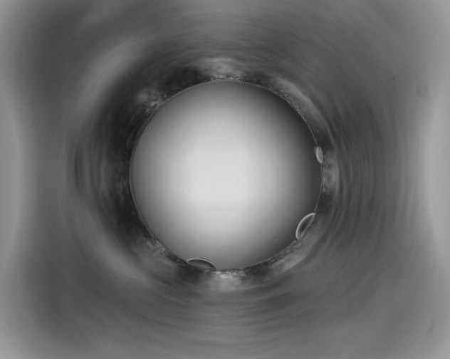 X0000115530573200911131508