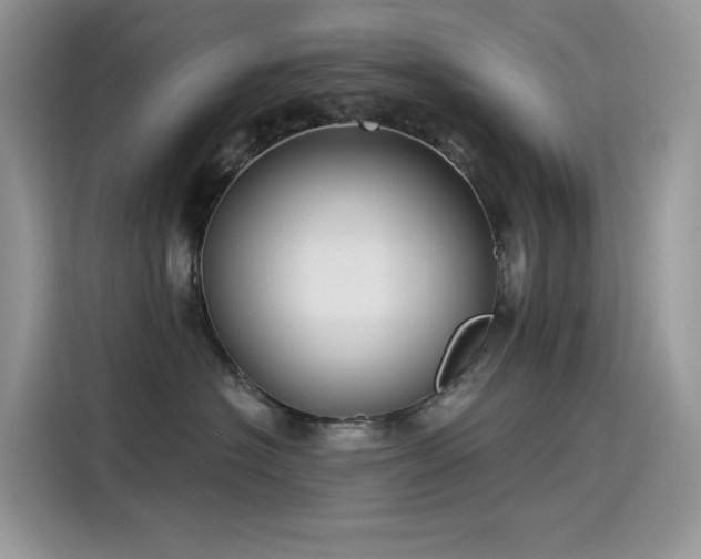 X0000115530574200911131508