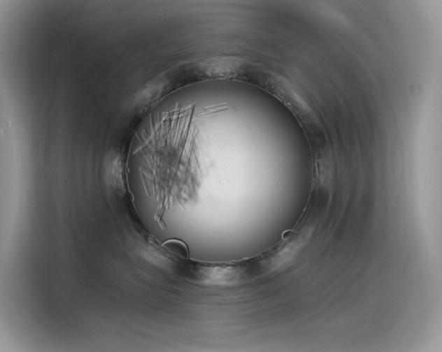 X0000115530575200911131508