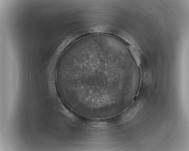 X0000115530577200911131507