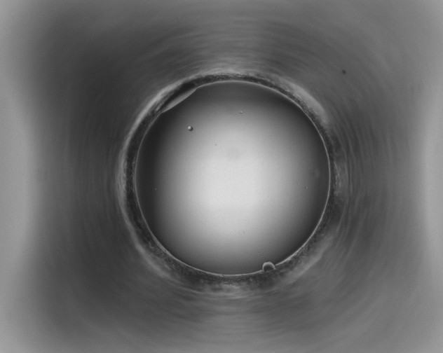 X0000115530580200911131507