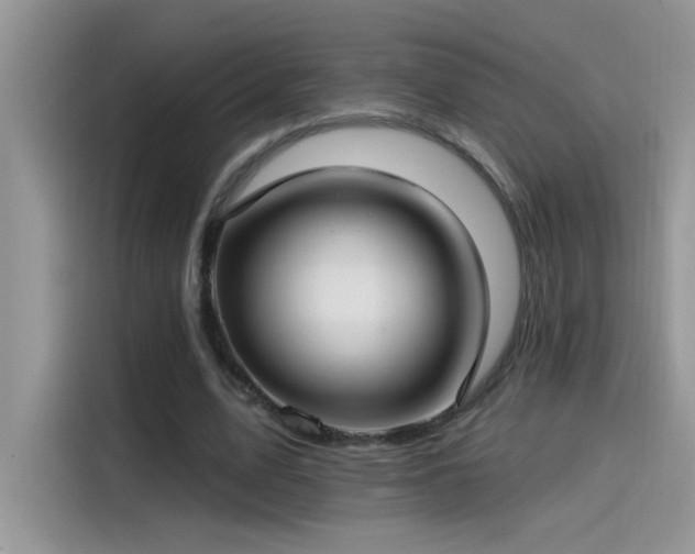 X0000115530583200911131507