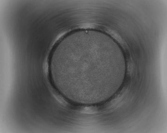 X0000115530584200911131507