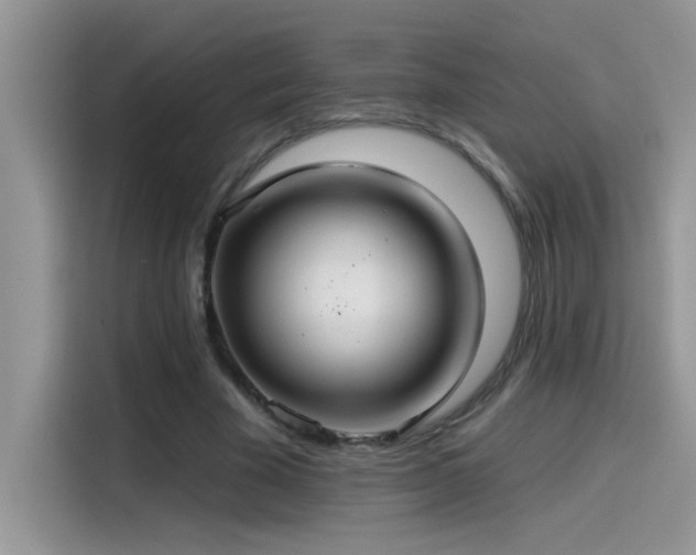 X0000115530585200911131507