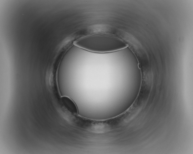 X0000115530587200911131507